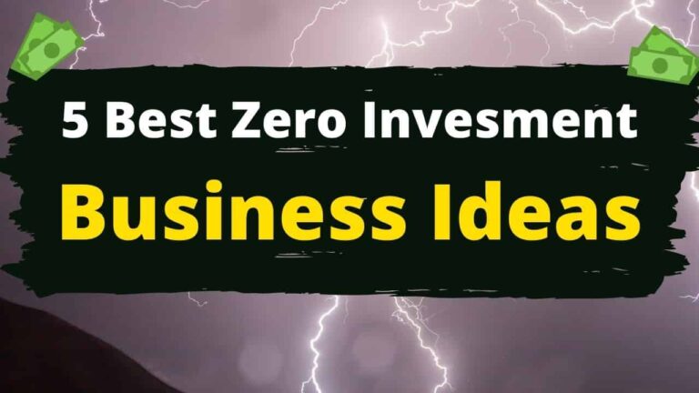 Read more about the article 5 Zero Investment Business Ideas (2023)